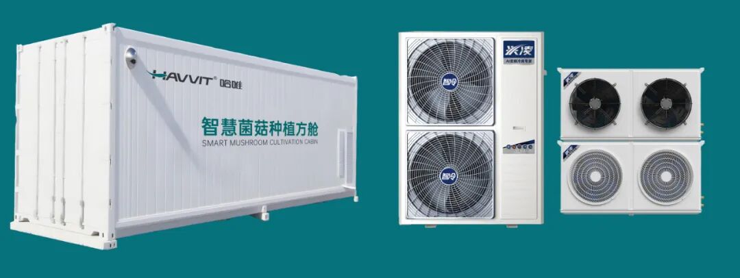 韌性生長(zhǎng) 奠基未來(lái) | 哈唯2025的確定性回答